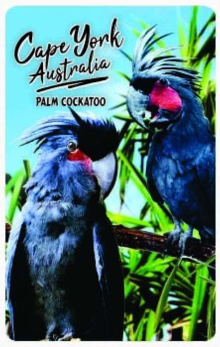 Palm Cockatoos Tea Towel