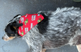 Dog Bandana
