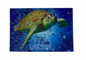 Turtle 3D Postcard