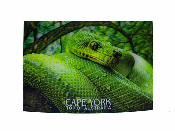 Green Python 3D Postcard