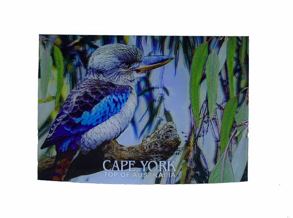 Blue Wing Kookaburra 3D Postcard