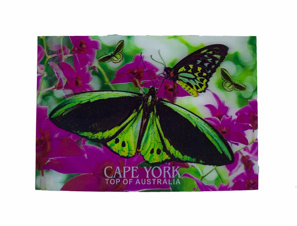 Birdwing Butterfly 3D Postcard