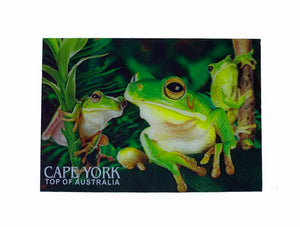 Dainty Tree Frog 3D Postcard