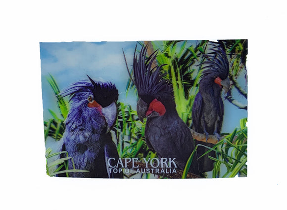 Palm Cockatoos 3D Postcard
