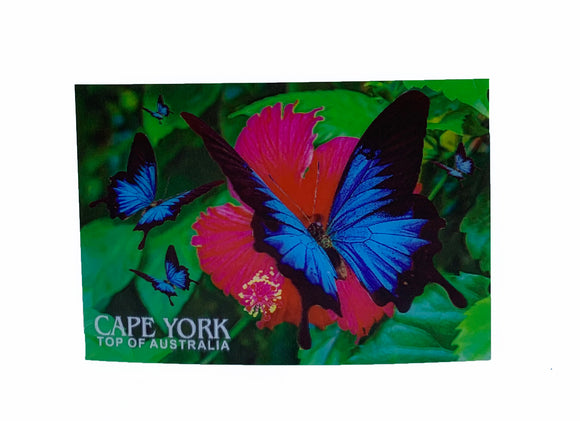 Ulysses Butterfly 3D Postcard