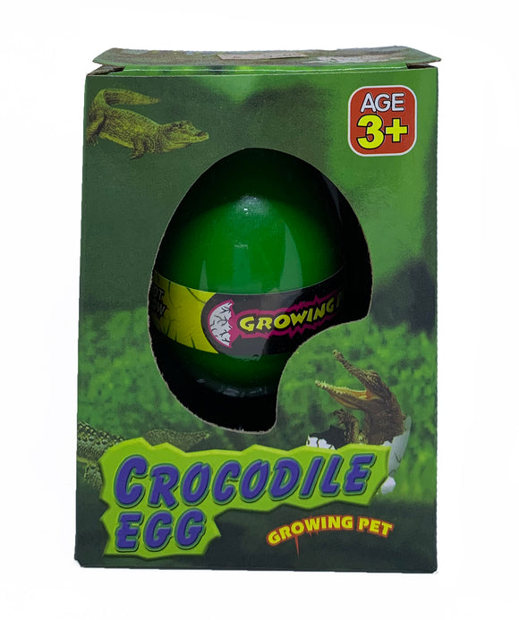 Crocodile Egg