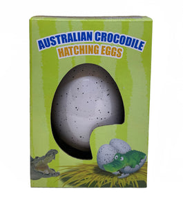 Large Crocodile Hatching Egg