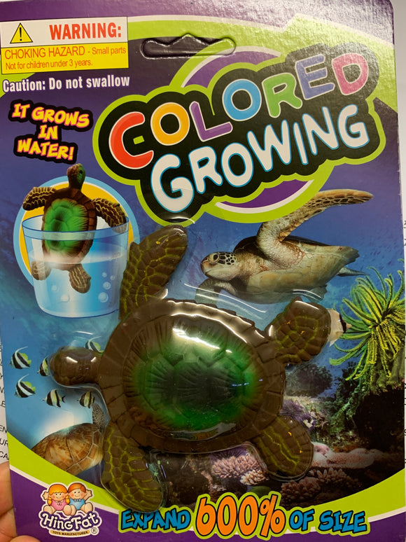 Colored Growing Turtle